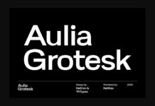 Aulia Grotesk Font Poster 1