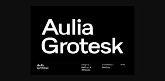 Aulia Grotesk Font Poster 1