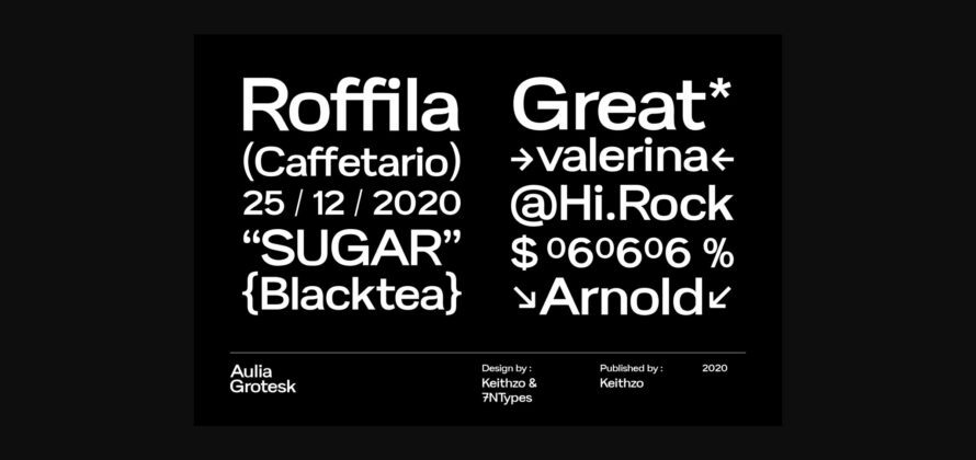 Aulia Grotesk Font Poster 6