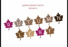 Autumn Leaf Play Font Poster 1