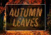 Autumn Leaves Font Poster 1