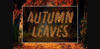 Autumn Leaves Font Poster 1