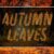 Autumn Leaves Font