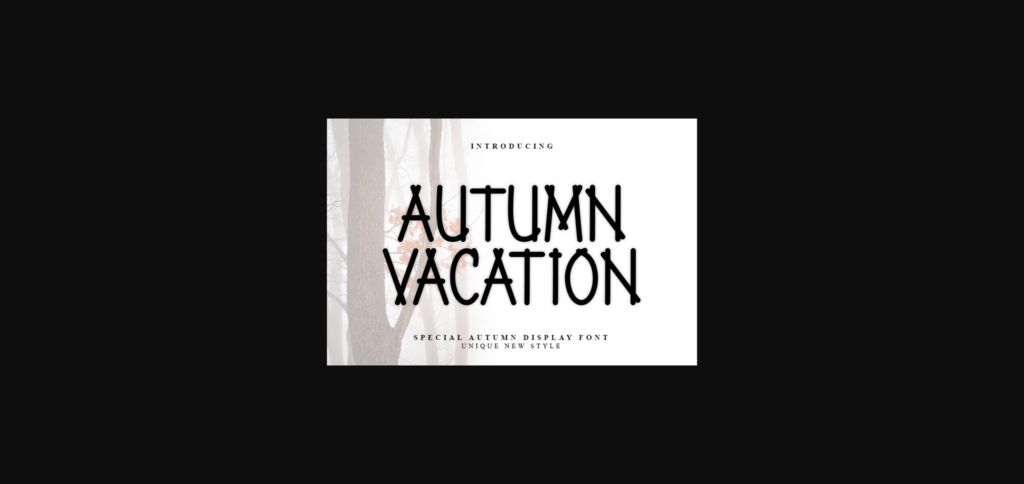 Autumn Vacation Font Poster 3