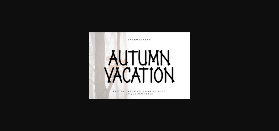 Autumn Vacation Font Poster 3