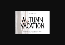 Autumn Vacation Font Poster 1