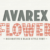 Avarex Flower Font