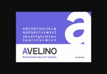 Avelino STD Font Poster 1