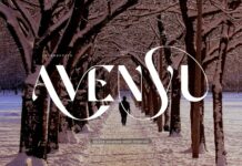 Avenyu Font Poster 1