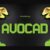 Avocad Font