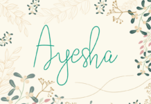 Ayesha Font Poster 1