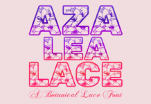 Azalea Lace Font Poster 1