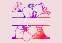 Azalea Split Font Poster 1