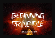 Beginning Principle Font Poster 1