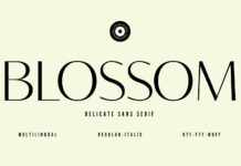 Blossom Font Poster 1