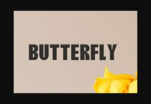 Butterfly Font Poster 1