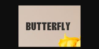 Butterfly Font Poster 1