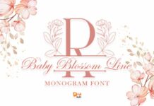 Baby Blossom Line Font Poster 1