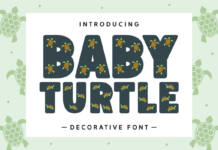 Baby Turtle Font Poster 1