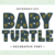 Baby Turtle Font