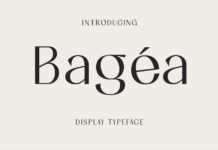 Bagea Poster 1