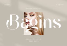 Bagins Font Poster 1