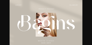 Bagins Font Poster 1