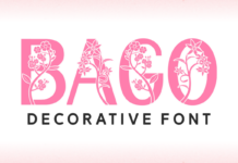 Bago Font Poster 1