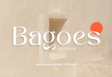 Bagoes Font Poster 1