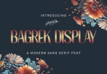 Bagrek Display Font Poster 1