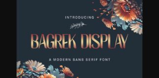 Bagrek Display Font Poster 1