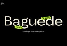 Baguede Font Poster 1