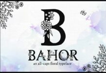 Bahor Font Poster 1