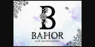 Bahor Font Poster 1