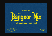 Bajigoor Mix Duo Font Poster 1