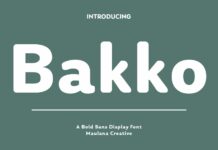 Bakko Font Poster 1