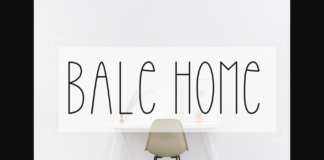 Bale Home Font Poster 1