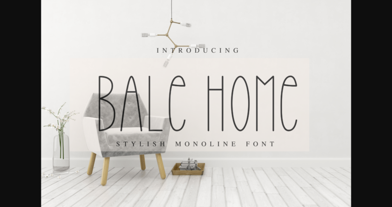 Bale Home Font Poster 4