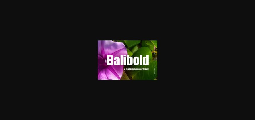 Balibold Font Poster 3