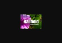 Balibold Font Poster 1