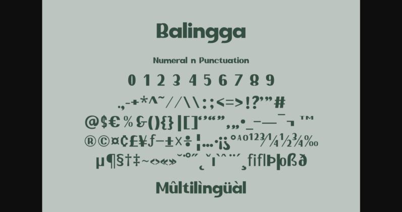 Balingga Font Poster 7