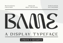 Bame Font Poster 1