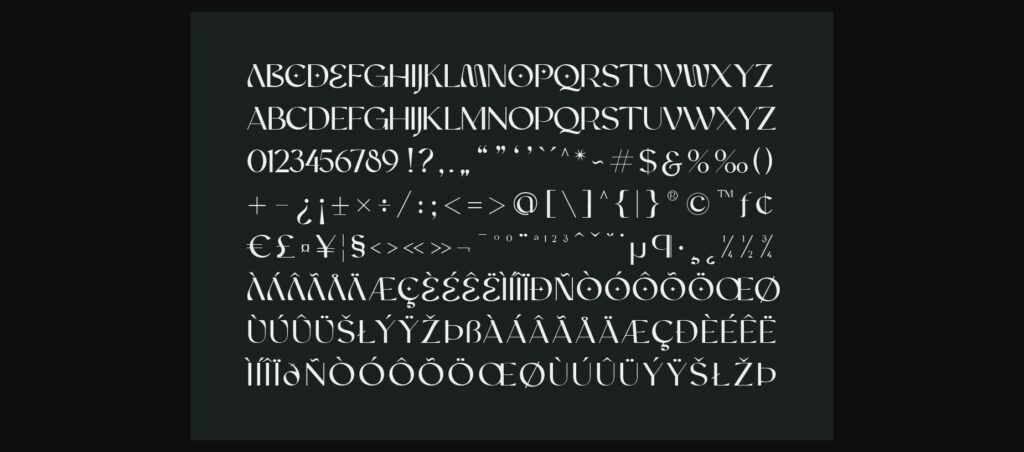 Bame Font Poster 11