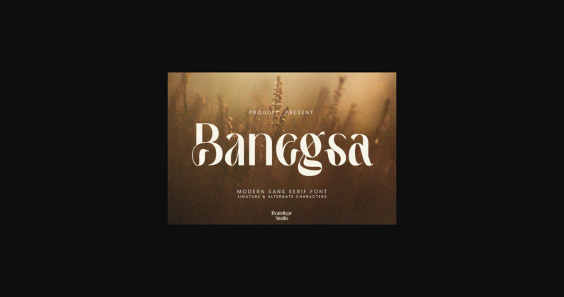 Banegsa Font Poster 3