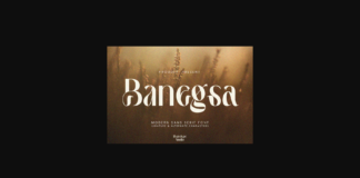 Banegsa Font Poster 1