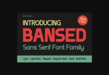 Bansed Font Poster 1