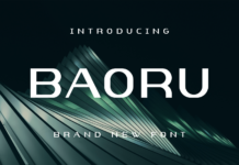 Baoru Font Poster 1