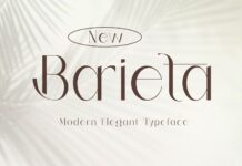 Barieta Font Poster 1