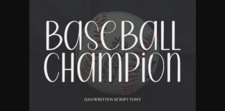 Baseball Champion Font Poster 1