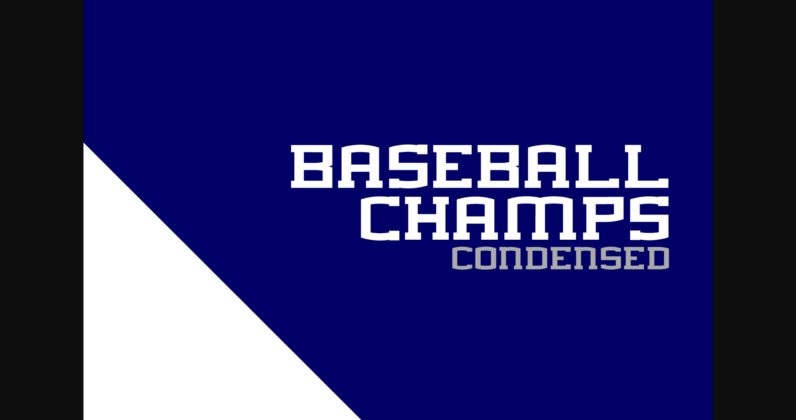 Baseball Champs Poster 3